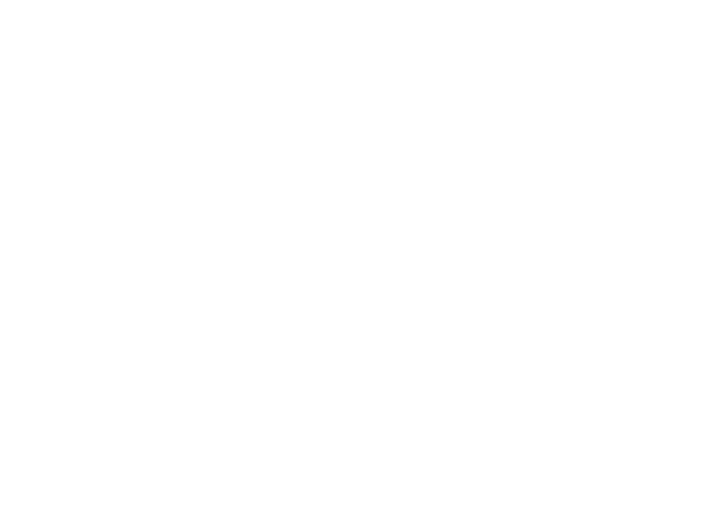 Zum Museum Rheinische Landesmuseum Trier